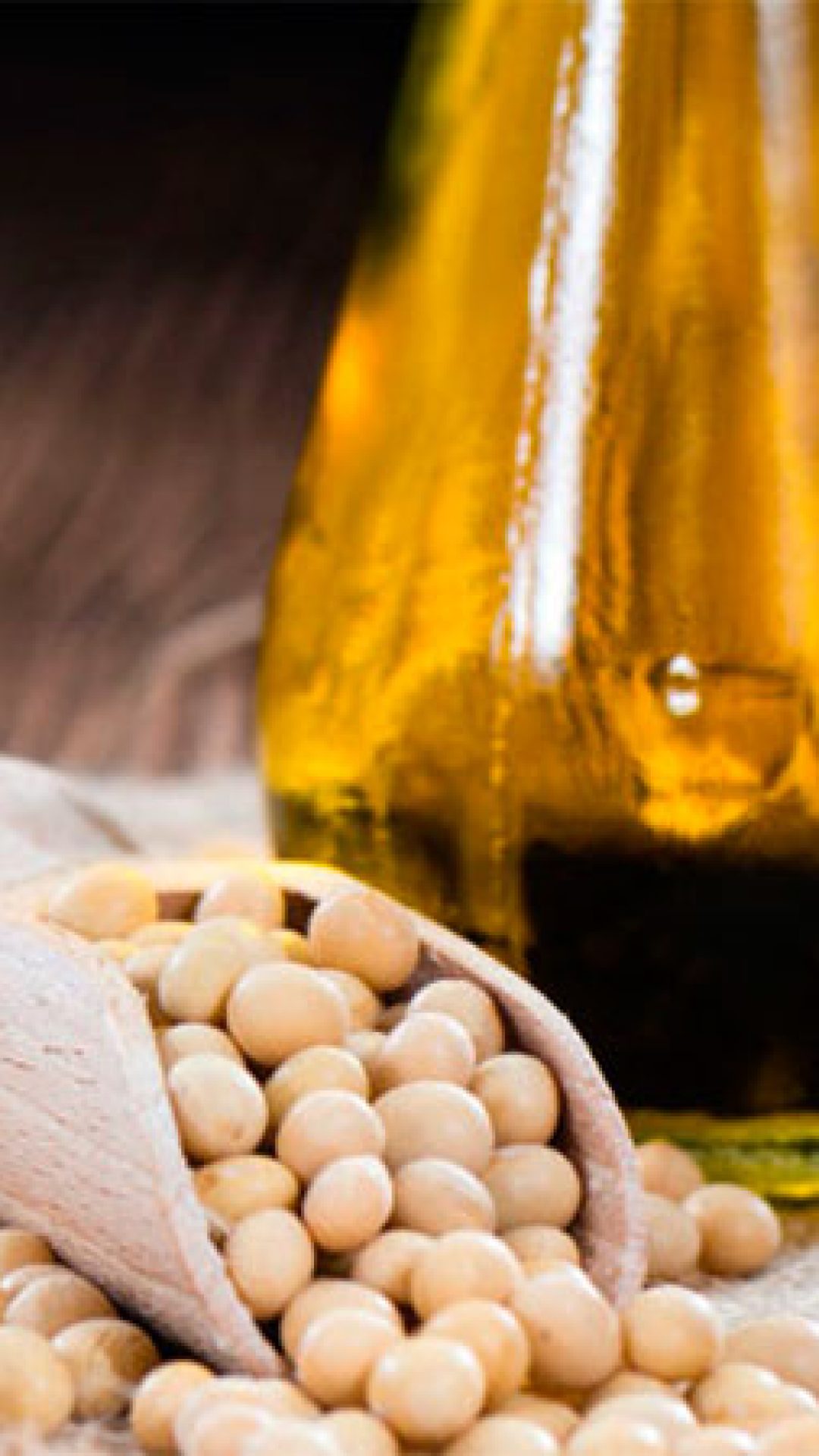 9be5d33953c7a8f015abda3966e5a6a6